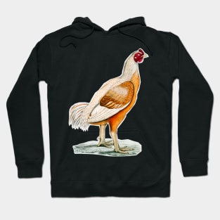 Giant Rooster vintage colorful illustration in drawing Hoodie